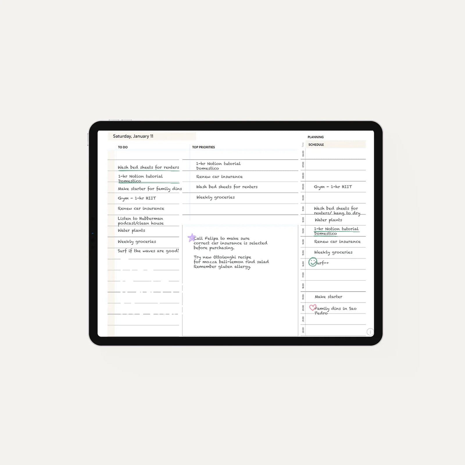 Paperlike Pro Planner