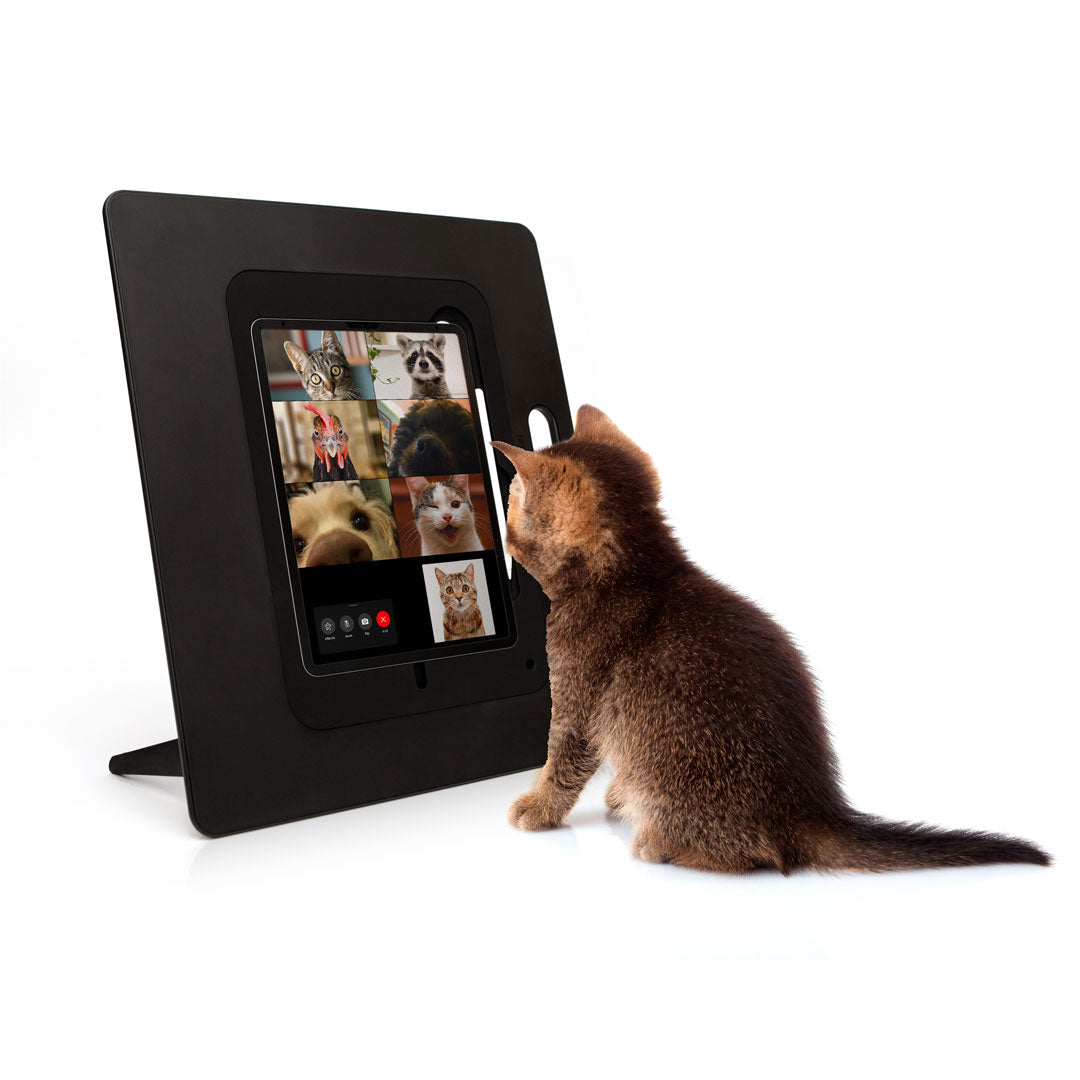 Sketchboard Pro for iPad