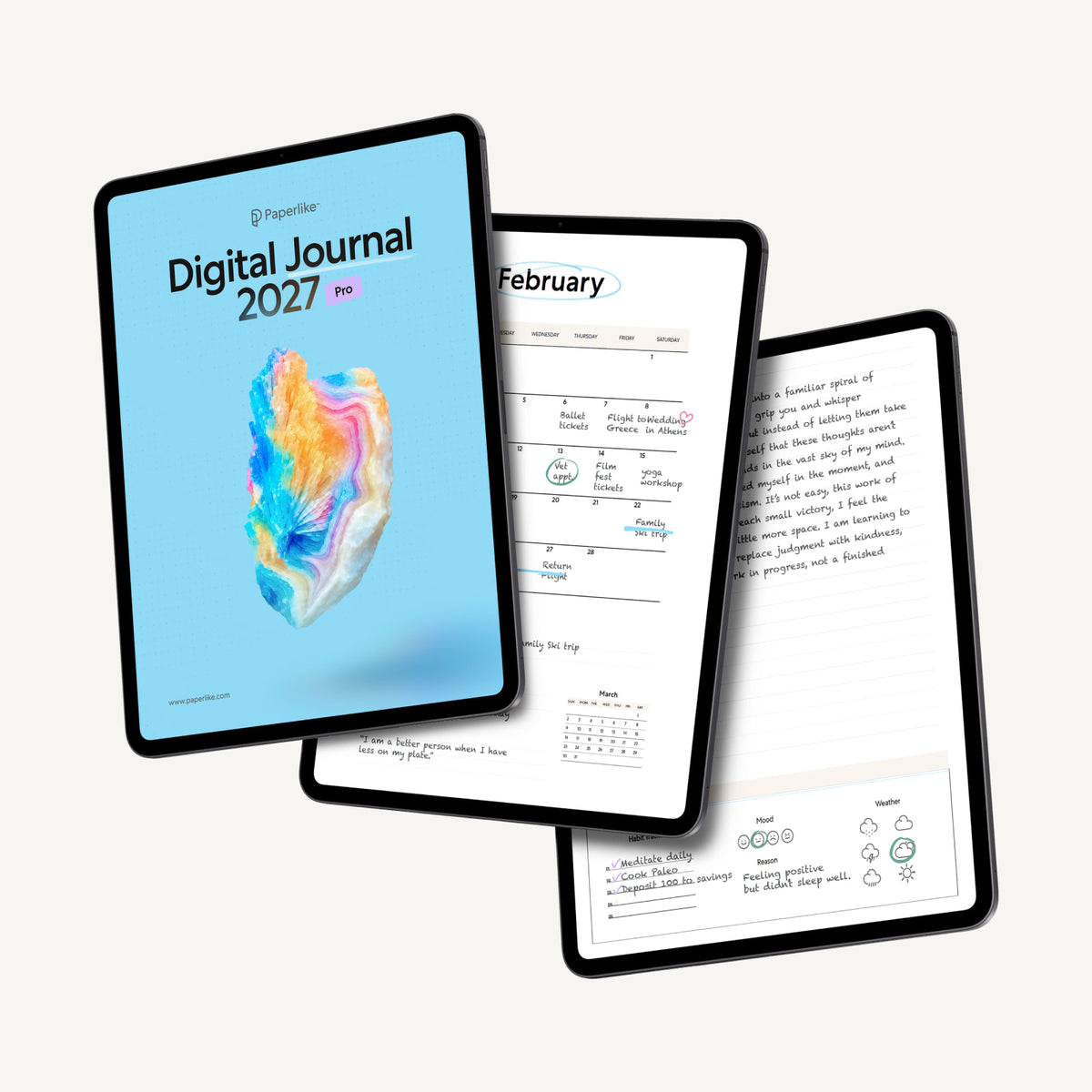 Paperlike Pro Journal