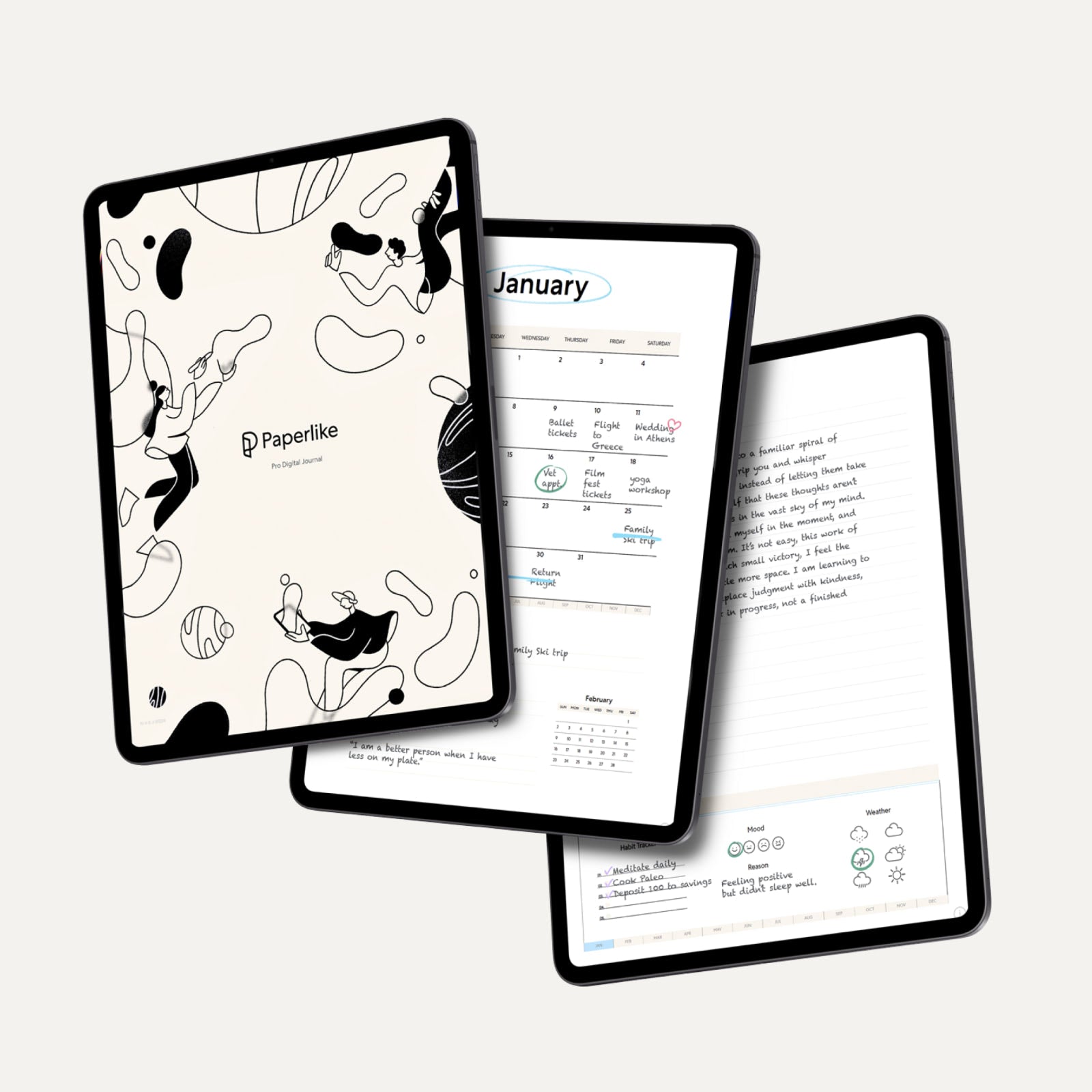 Paperlike Pro Journal