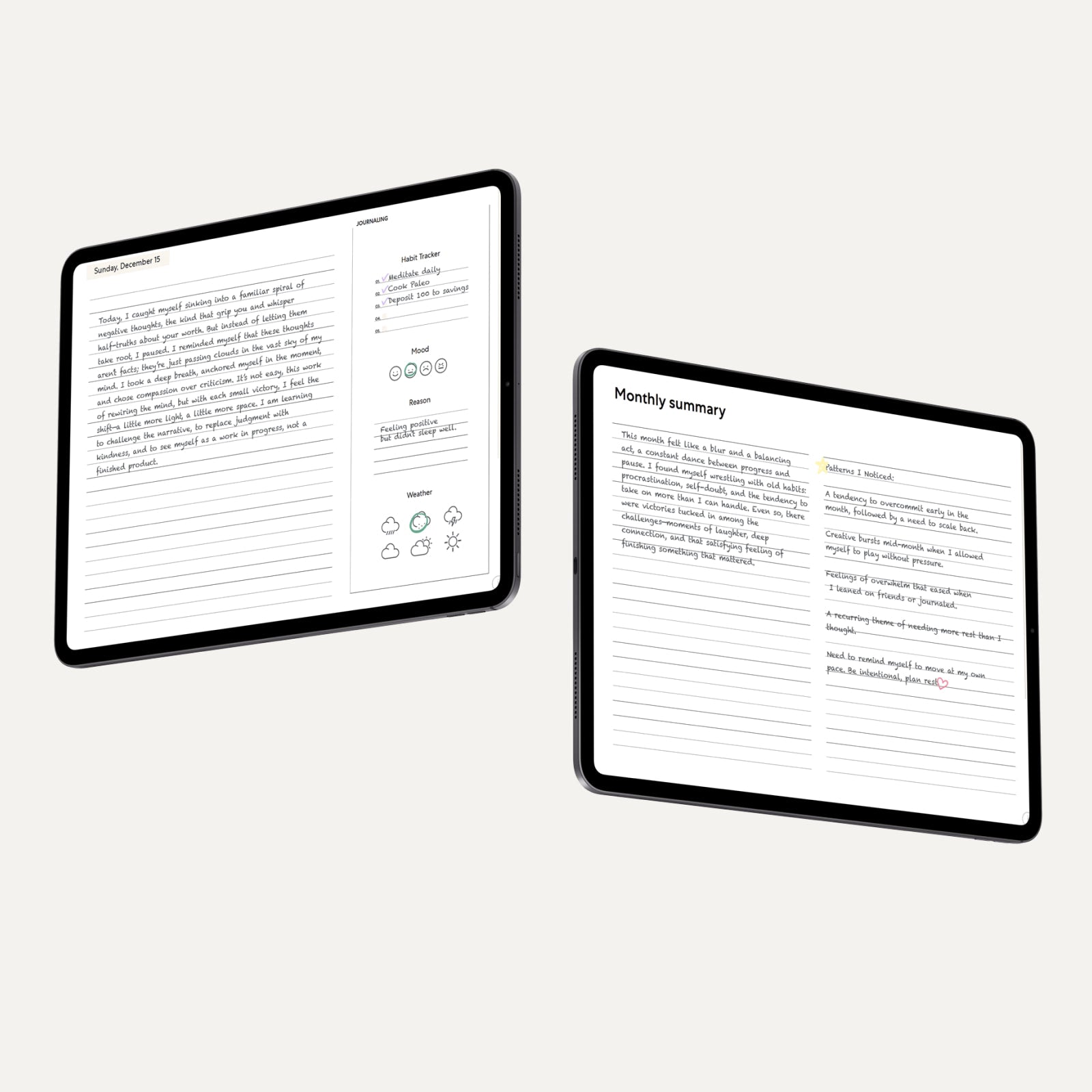 Paperlike Pro Journal