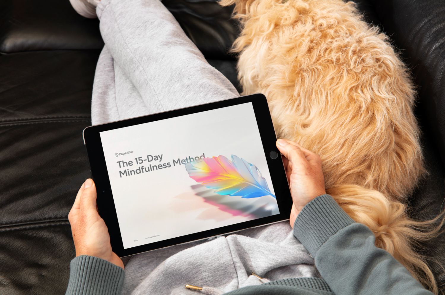 Person relaxing on a couch with a fluffy dog, holding a tablet displaying a digital document titled 'The 15-Day Mindfulness Method' by Paperlike, featuring a colorful feather illustration.