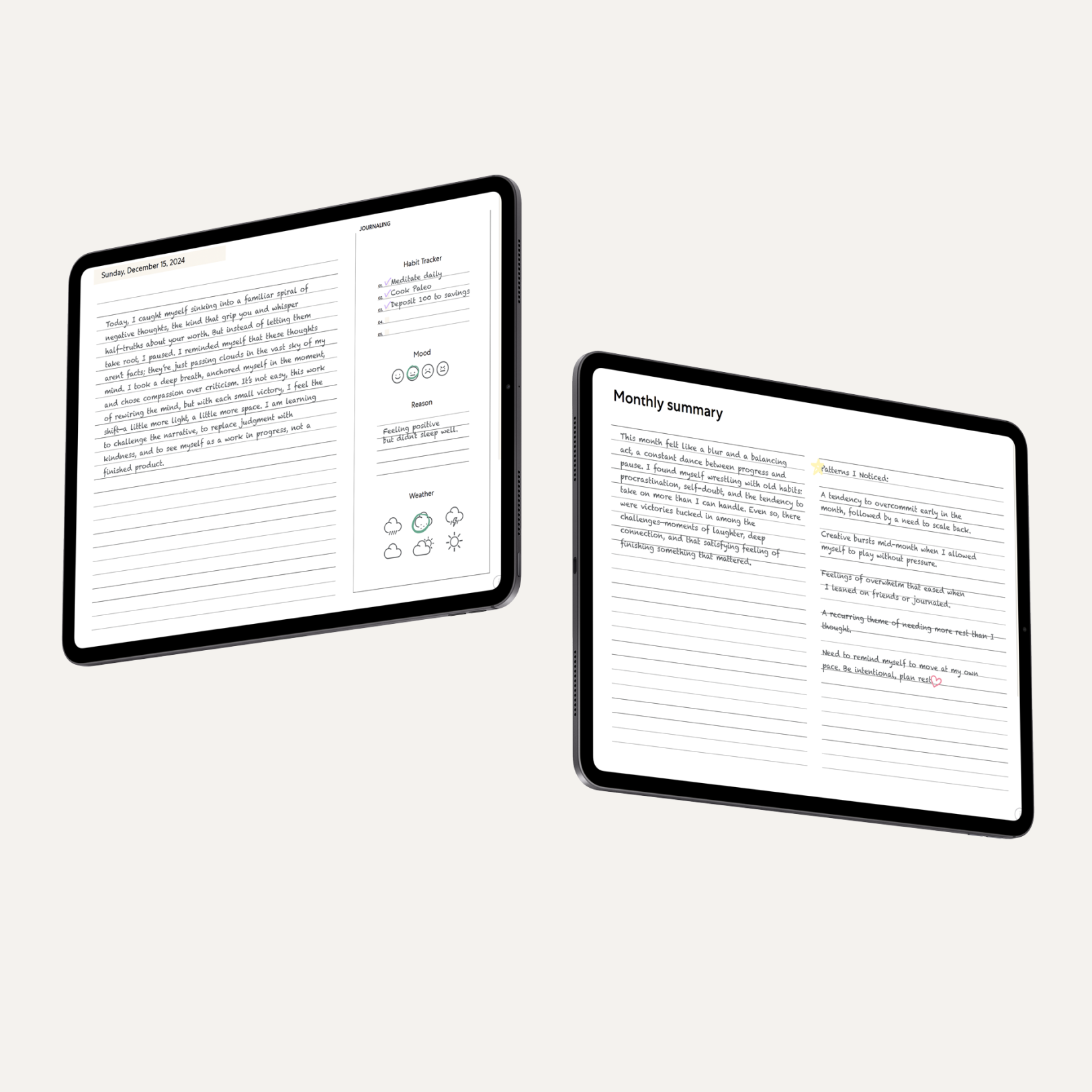 Paperlike Pro Journal