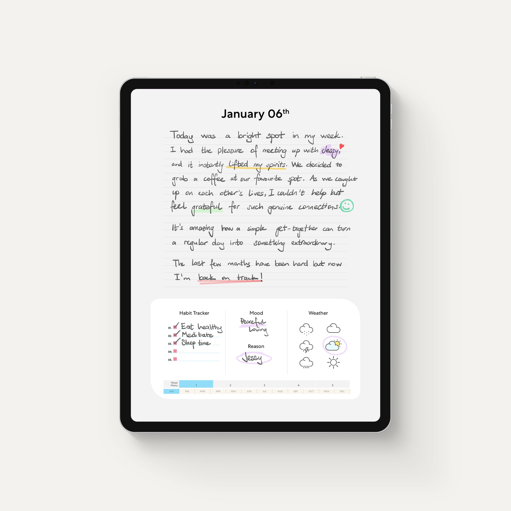 Pro Digital Journal display in light mode with example journal entry