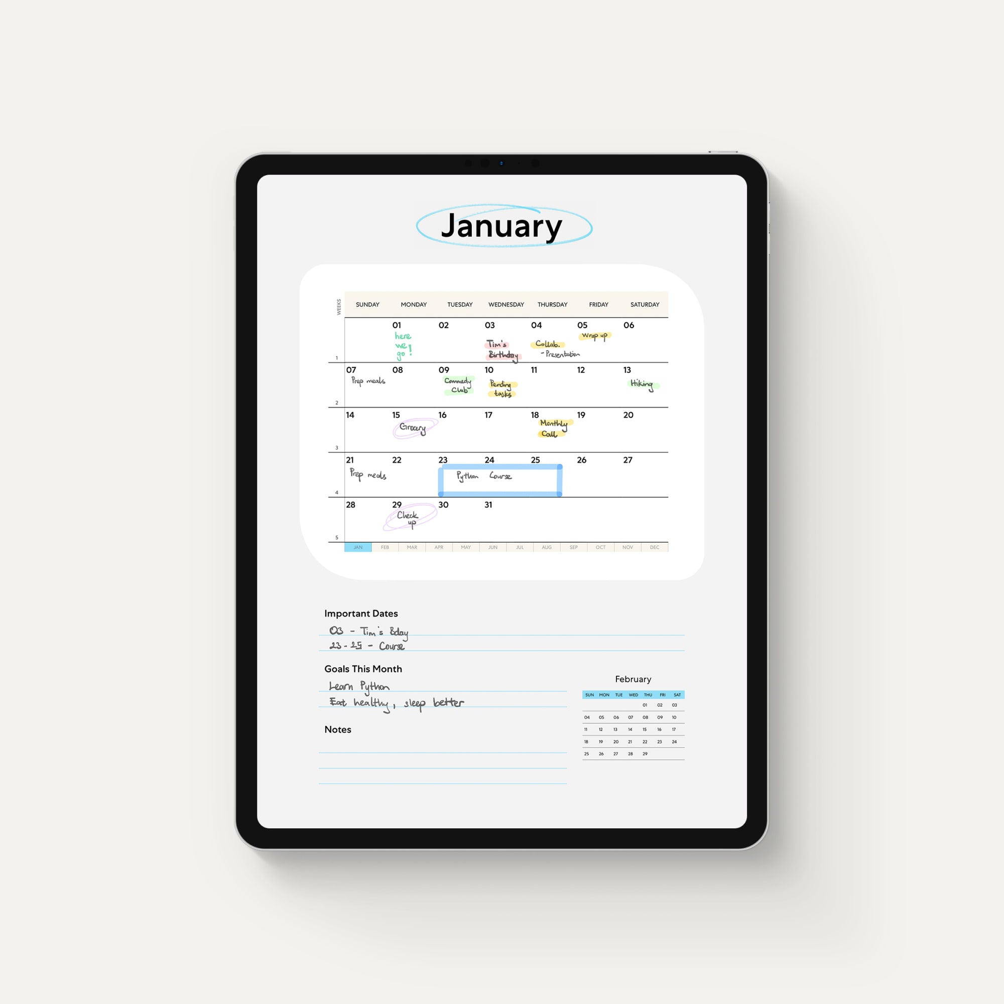 Pro digital journal on iPad displaying the month of January in light mode