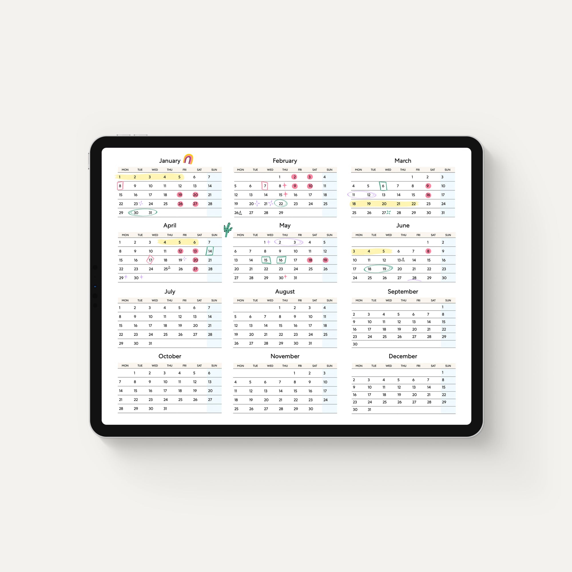 light mode of pro planner in full calendar year display